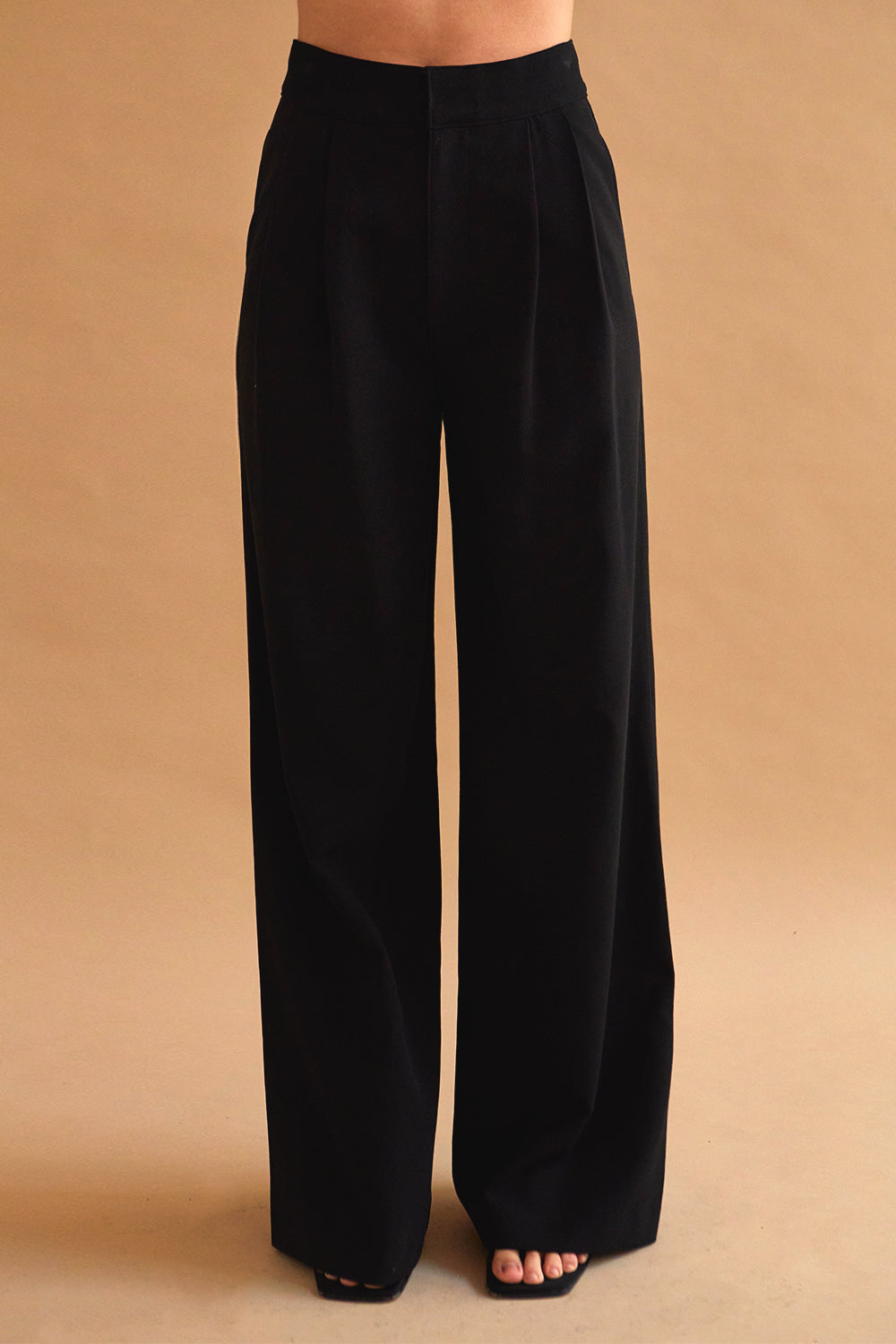Shiloh High Waisted Pleated Trousers